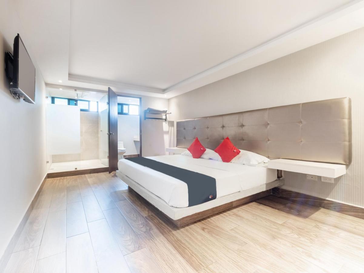 Hotel 202 Монтеррей Экстерьер фото
